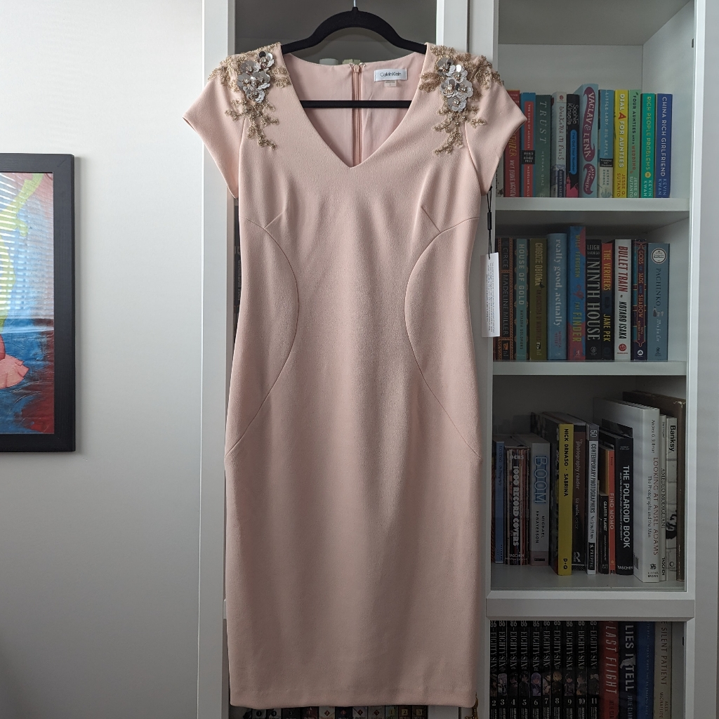 Nwt Calvin Klein Blush Pink Dress With Beading
